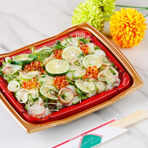 どんぶり容器 バイオ 勝盛重 20-16BA みめよし朱 リスパック