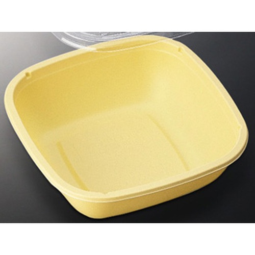 中央化学 どんぶり容器 CT コンビニ丼 IV (ボ) T セット