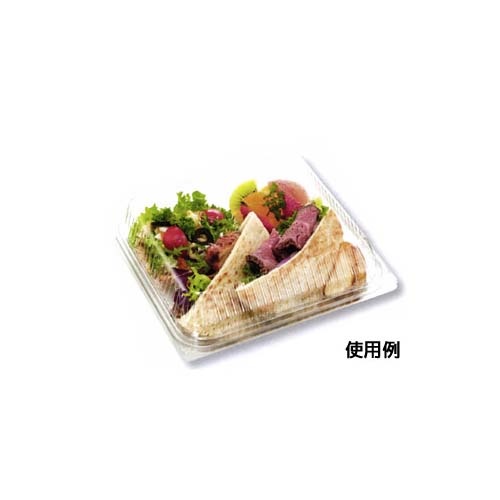 中央化学 弁当容器 C-AP 街デリ BOX21-19