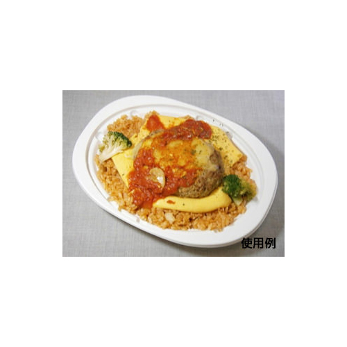 中央化学 惣菜容器 CT 街デリ ランチ D24 W 本体