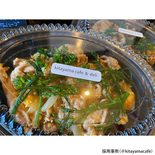 中央化学 惣菜容器 CT 街デリ ランチ M21 BK 本体