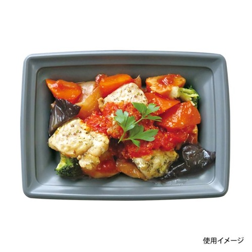 中央化学 軽食容器 CT 沙楽 IK18-13 NGR-BK 本体