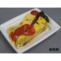 中央化学 軽食容器 CT 沙楽 K15-12 W 本体