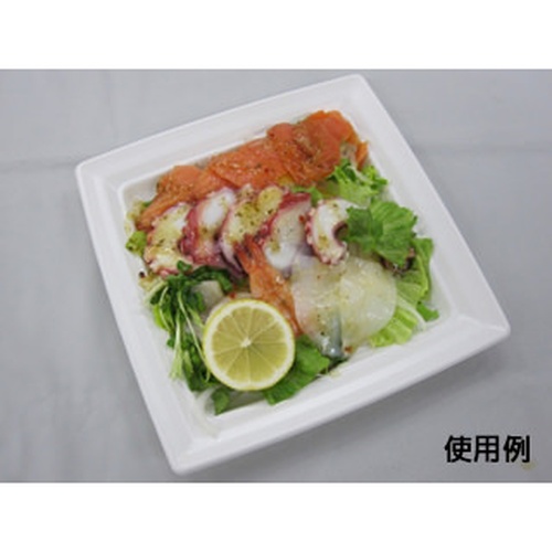 中央化学 軽食容器 CT 沙楽 K18-18 W 本体