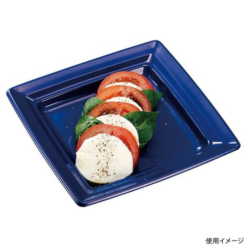 中央化学 軽食容器 CT 沙楽 K18-18 紺-BK 本体