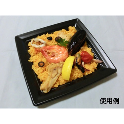 中央化学 軽食容器 CT 沙楽 K20-20 BK 本体