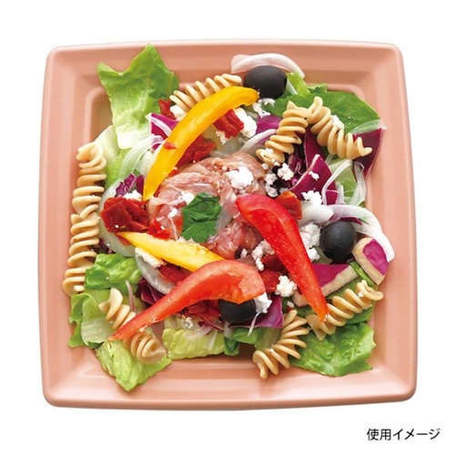 中央化学 軽食容器 CT 沙楽 K20-20 NP-BK 本体