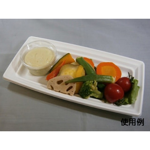 中央化学 軽食容器 CT 沙楽 K24-12 W 本体