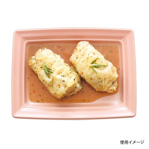 中央化学 軽食容器 CT 沙楽 K24-18 NP-BK 本体
