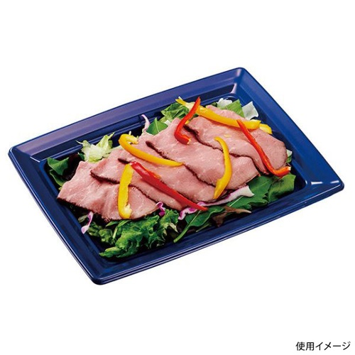 中央化学 軽食容器 CT 沙楽 K24-18 紺-BK 本体