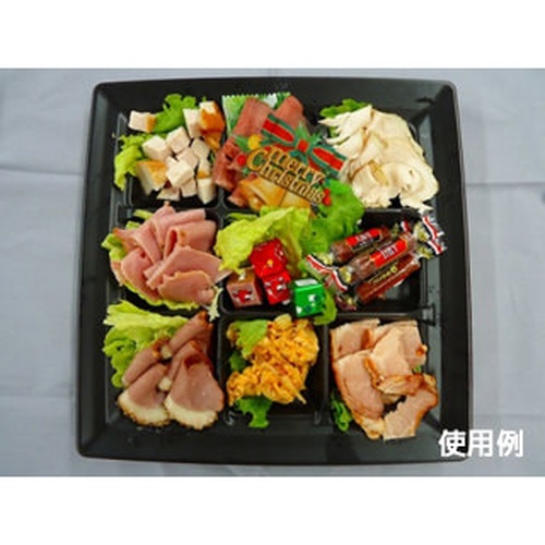 中央化学 軽食容器 CT 沙楽 KS24-24-A BK 本体