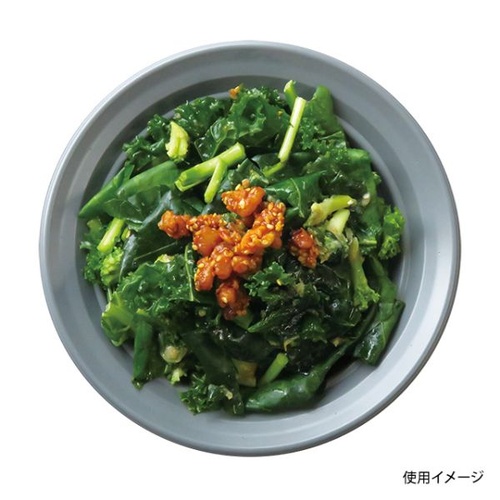 中央化学 軽食容器 CT 沙楽 M18 NGR-BK 本体