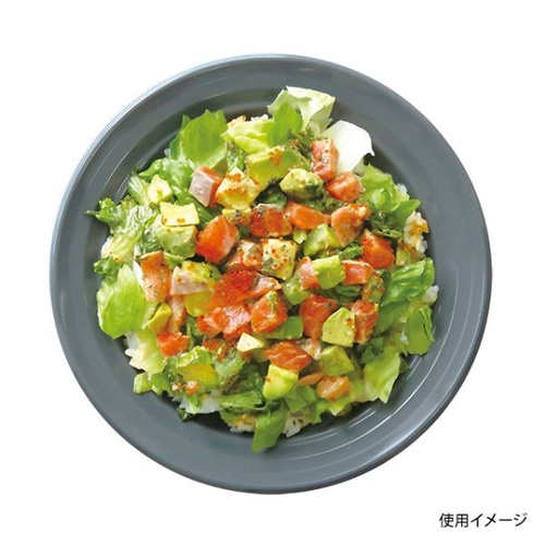 中央化学 軽食容器 CT 沙楽 M23 NGR-BK 本体
