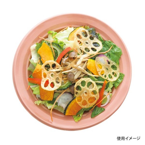 中央化学 軽食容器 CT 沙楽 M23 NP-BK 本体