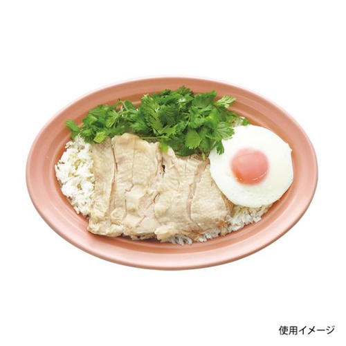 中央化学 軽食容器 CT 沙楽 M27-18 NP-BK 本体