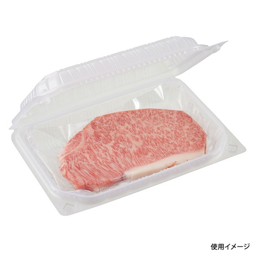 中央化学 弁当容器 耐寒PP 冷パック 23-16(50)