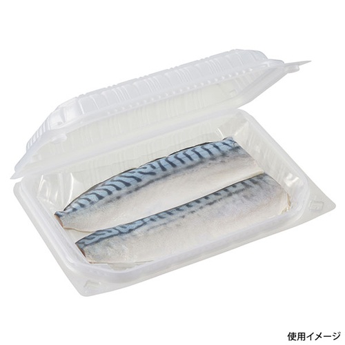中央化学 弁当容器 耐寒PP 冷パック 23-16(50)