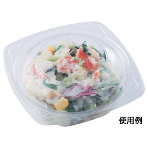 エフピコ 冷麺容器 APデリ-120-160 本体