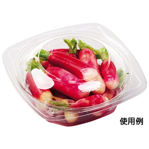 エフピコ 冷麺容器 APデリ-120-160 本体