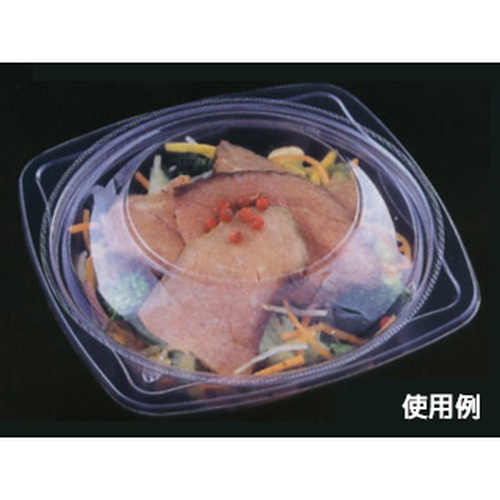 エフピコ 冷麺容器 APデリ-150-300 本体