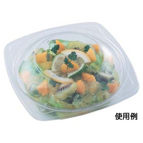エフピコ 冷麺容器 APデリ-150-300 本体