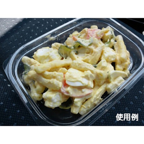 中央化学 軽食容器 C-AP デリカン 15-11 本体