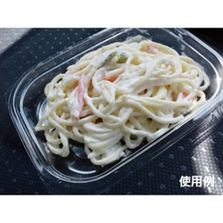 中央化学 軽食容器 C-AP デリカン 15-11 本体
