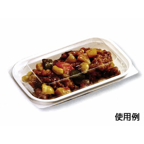中央化学 軽食容器 C-AP デリカン 18-12 本体