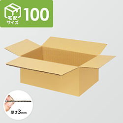 宅配100サイズ】ダンボール箱（600×250×110mm）5mm A/F K5×K5