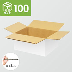 宅配100サイズ】ダンボール箱(549×259×101mm) 5mm A/F 白C5×C5