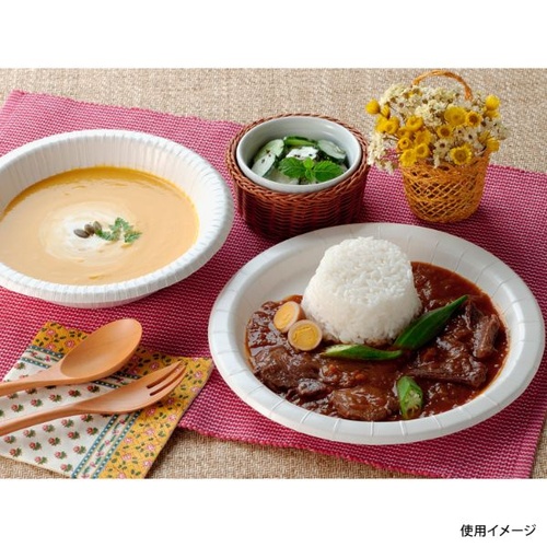 日本デキシー 紙皿 新スーパープレート 17cm 25枚入