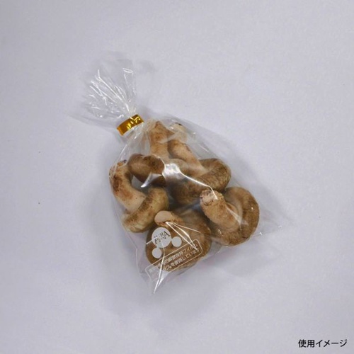 ベルグリーンワイズ 鮮度保持袋 オーラパック8号規格品