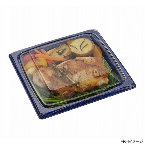 中央化学 軽食容器 CT 葵 16-16A せとDB-BK 本体