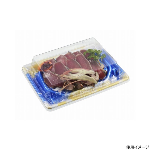 中央化学 刺身容器 漁台20-15 渚GB 本体
