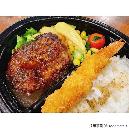 エフピコ カレー容器 MFPデリプレ26-19-1 本体 黒