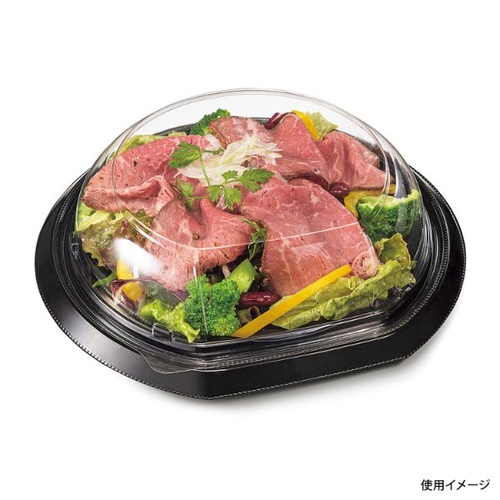 リスパック フルーツ容器 バイオ パティー 20B 黒 本体