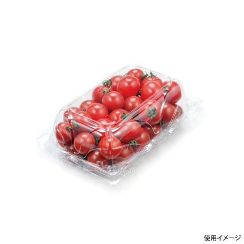 リスパック フルーツ容器 バイオ とれたて 18-12(60)