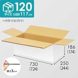宅配120サイズ】小箱ぴったり梱包用ダンボール箱［SBOX-03・8箱］（682