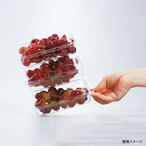 エフピコチューパ フルーツ容器 GPR-M 6H