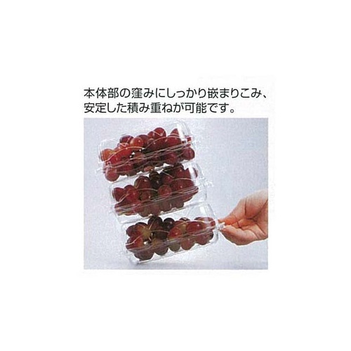エフピコチューパ フルーツ容器 GPR-S.6H