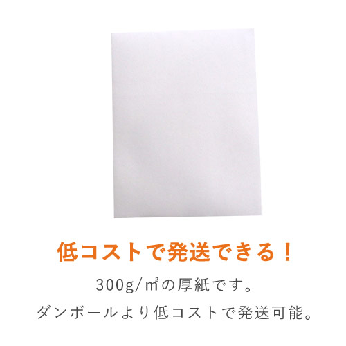 【ネコポス・クリックポスト】厚紙封筒（B5サイズ、開封ジッパー付き）