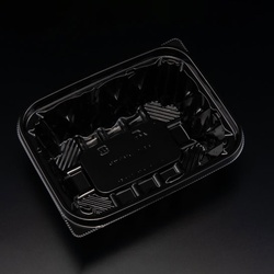 リスパック 惣菜容器 バイオ アソートケース 16-13B(48) 黒 本体