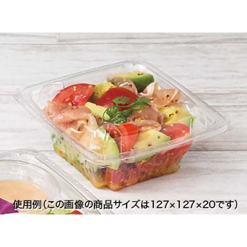リスパック バイオ ツブ13 OCA 蓋
