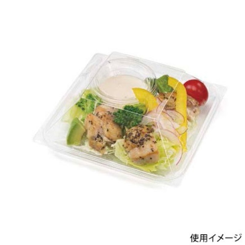 リスパック バイオ リファイン 15-OCH 蓋