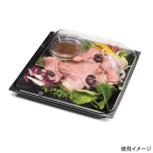 リスパック 惣菜容器 バイオ リファイン 18-16B 黒 本体