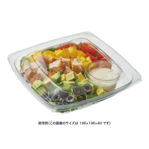 リスパック 惣菜容器 バイオ ベイシス18-40B 本体