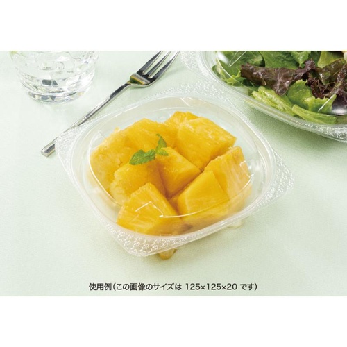 リスパック バイオ ハクリア 13-OCA 蓋
