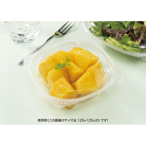 リスパック バイオ ハクリア 14-OCA 蓋