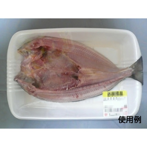 中央化学 発泡トレー CJ-1 白(N)