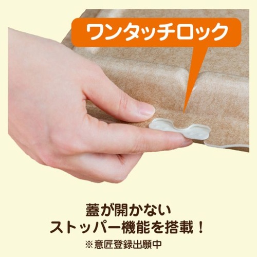 JSPパッケージング 弁当容器 テイクアウトボックス24-24CB